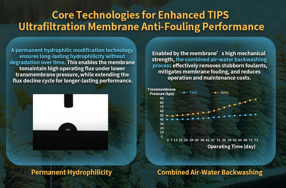 Anti-fouling TIPS ultrafiltration membrane with permanent hydrophilicity
