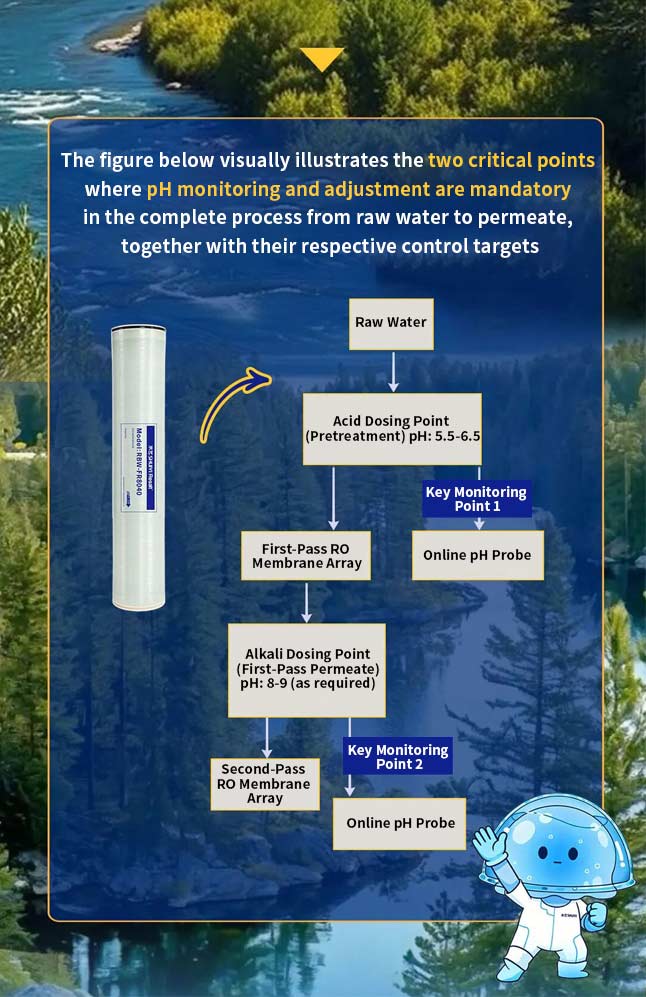 RO system pH monitoring and adjustment points