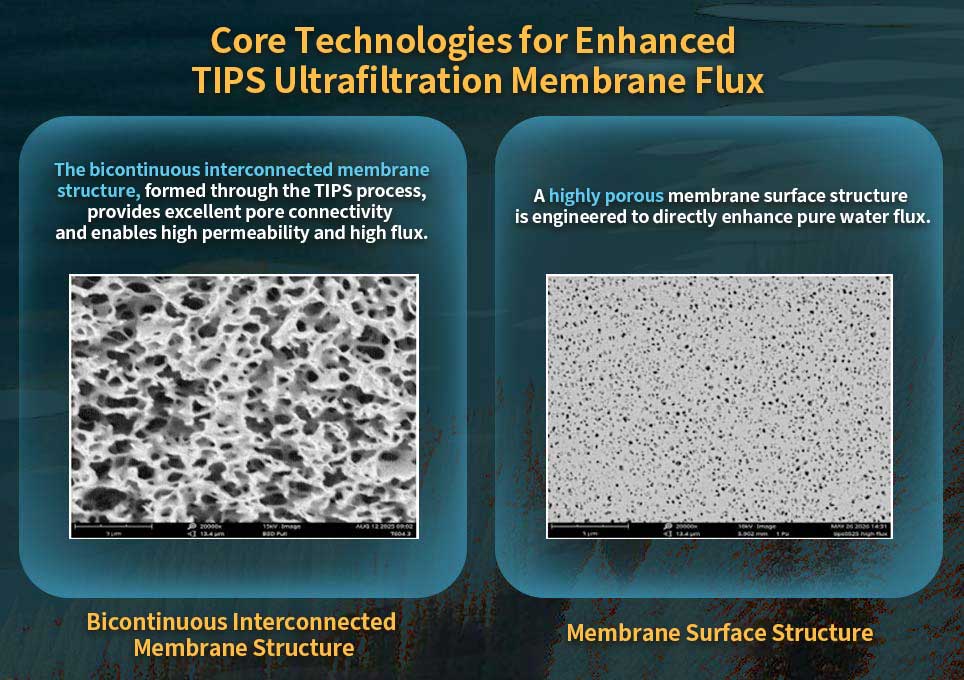 TIPS ultrafiltration membrane structure comparison